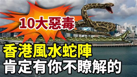 香港 蛇陣 地址風水
